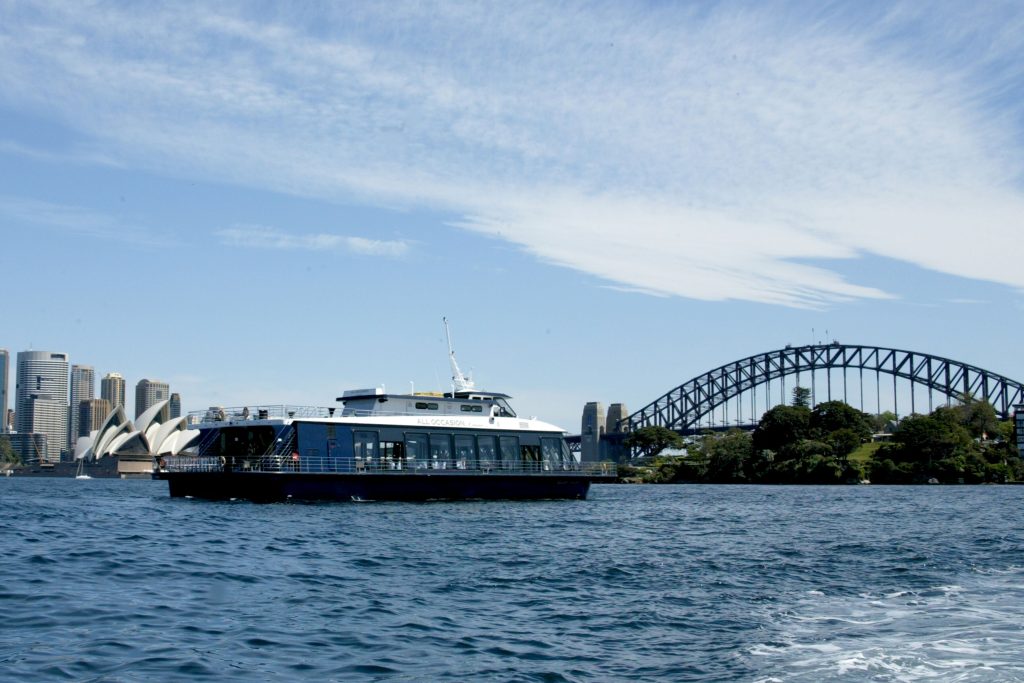 bella vista harbour cruise