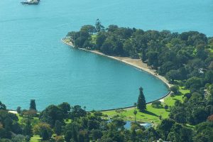 Scenic view of Sydney Harbour's coastline with lush greenery and clear blue water.