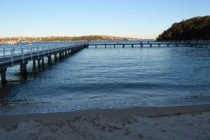 Taronga Zoo and Clifton Gardens